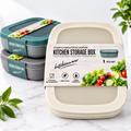 Fiambrera Hermética PP/TPE 25 × 19,5 × 7 cm – Modelos Surtidos